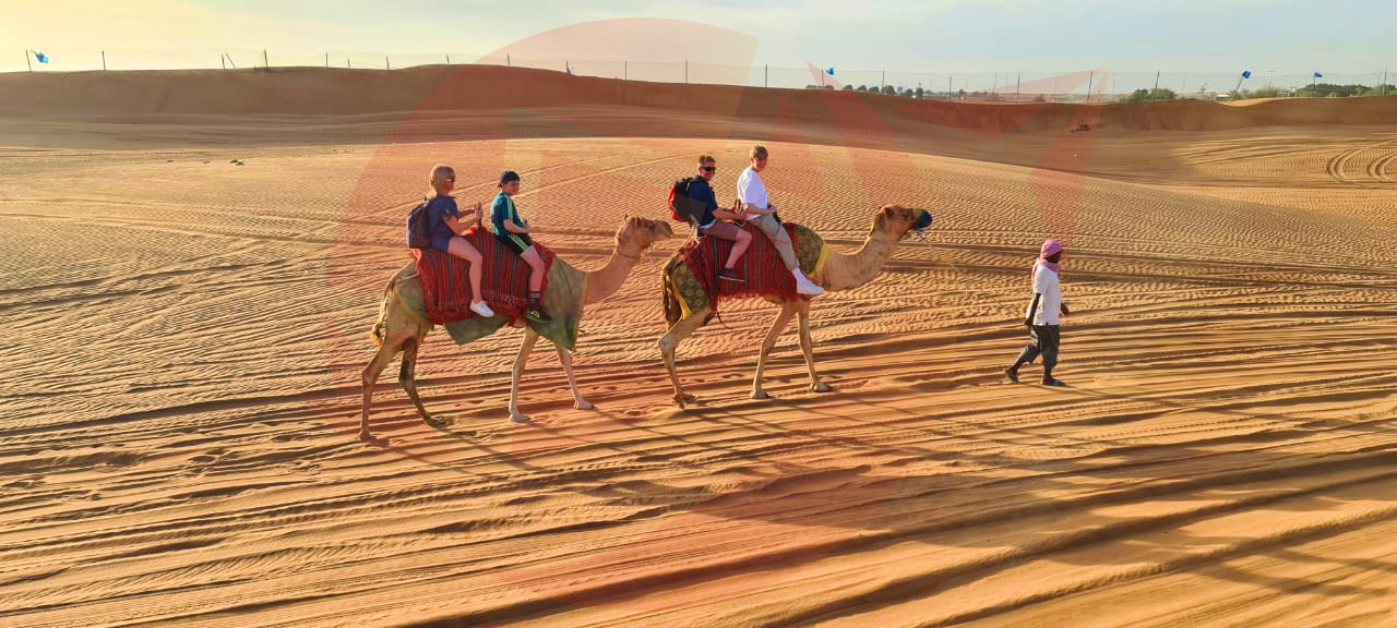 Camel Ride
